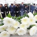 서울효창의원 이미지