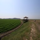 새만금바람길 이미지