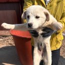 신금산단2길 이미지