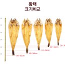 선물용 황태 판매합니다.(카드 결제가능 )10박스 구매시 1박스 더 드려요. 이미지