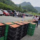 기초푸드뱅크 이미지