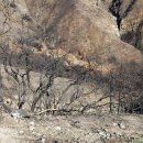 엔젤레스 이미지