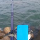 입암2리 이미지