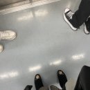 현대천호토리버치