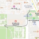 케이투서대전메가샵 | [서울숲 데이트 추천] 2026 서울숲 정원박람회 평일 방문 후기