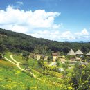 패밀리파크빌리지 이미지