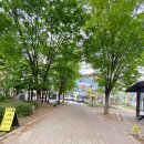 올치동물병원 이미지