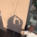 고유시차 이미지