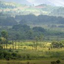 비무장지대 이미지