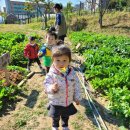 서우농장 이미지