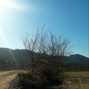 옥화대스토리 이미지