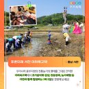 1박2일테마 이미지