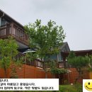 평사(여) Daum카페