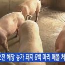 의성4농장 헤럴드경제