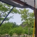 고포수변공원 이미지