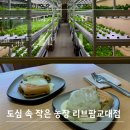 서초대로54길 45 (1) | 교대 브런치 카페 리브팜교대점