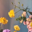 센트럽잇 - 광양시 중마용소길 54 | 센트럽잇