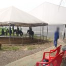 아라뱃길 승마클럽 이미지