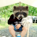 (주)푸드장 이미지