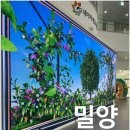 농촌체험팜파크 | 밀양 선샤인 테마파크 네이처에코리움·농촌테마파크 체험 후기 | 아이와 함께 가을 명소 추천