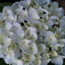 하계미성아파트.을지병원 이미지