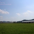 늘푸르름농장 이미지