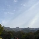 토실이쌀밤빵공주갑사점