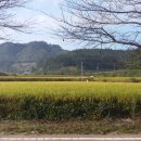 창수농장 이미지