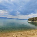 전남고흥녹동바다노을보라펜션 이미지