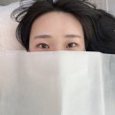 시옷눈썹