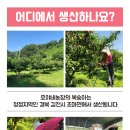 호야네농장