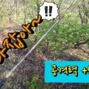 서수농장 이미지