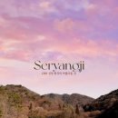 세량제 | 화순 세량지 세량제 3월 중순 방문 후기 벚꽃 목련