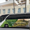 농장카밧데리 | [효니 신혼여행 ep.9] 하와이 3일차. (쿠알로아랜치 익스피리언스 패키지, 슬라이스 오프 피자, 마구로...