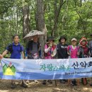 8/05(수)-삼성,관악계곡길(별다섯) 이미지