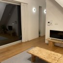 문수동그디 | [제주] 문수동 그디