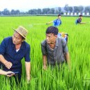 동암농장 이미지