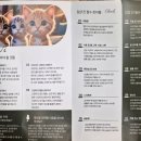 인투캣츠 이미지