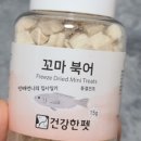 건강한펫 이미지