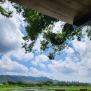 덕이갈비탕 이미지