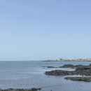 팜트리 빌리지 이미지