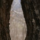 용화보건지소 이미지