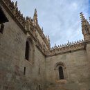 봉동재래시장외부 | 스페인여행#3 그라나다 대성당 입장료,마드라사 궁전, 알카이세라 재래시장 코스 후기