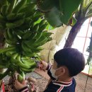 야동농장 이미지