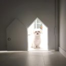 (주)스파비담 이미지