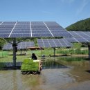 가시 태양광발전사업 이미지