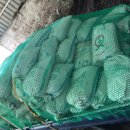 임동길농장 이미지