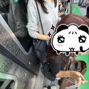 또래오래피자캐리어 | 언제나 즐길 여유를 마련해 두기 ♪