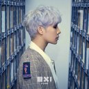 개, 이쁘다 이미지