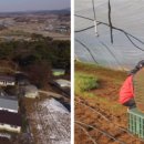 임광빈농장 이미지